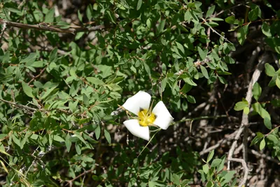 DSC_3236 (Large).JPG